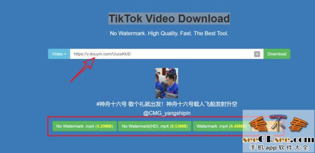 抖音国际版TiKToK视频下载站  第1张