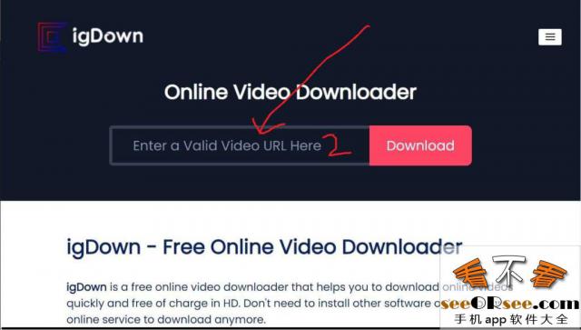 igDown：国外免费的在线高清视频下载去水印网站  第3张