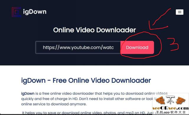 igDown：国外免费的在线高清视频下载去水印网站  第4张