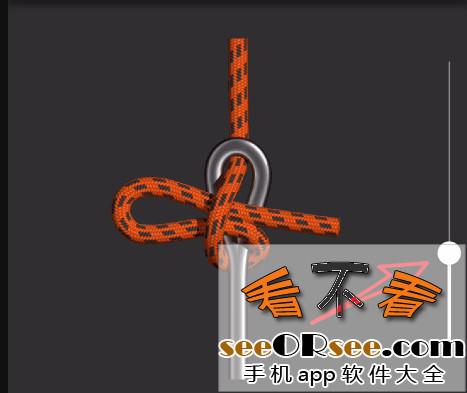 解锁谷歌高分收费软件Knots 3D，专业教你怎样系绳结软件  第2张